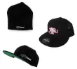 General Representation 2001 Honda Prelude SiriMoto Headwear